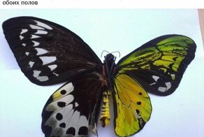 Интересные фотографии на самые разные темы