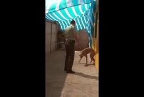Собака обняла спасшего её полицейского