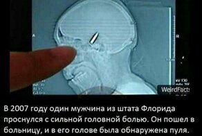 Смешные коментарии из соцсетей