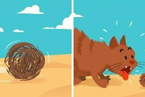 20 комиксов от казанского иллюстратора, в которых всё вечно переворачивается с ног на голову