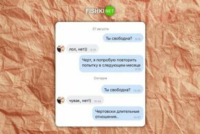 Из таких бы людей гвозди делать: про очень-очень упорных