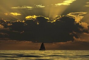 Фотоподборка за 11.03.2019