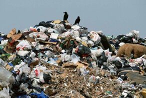 Будущее России в универсиадах или чемпионатах?