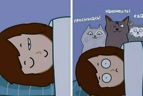Иллюстратор рисует комиксы о жизни с 4 кошками и раскрывает все их пушистые тайны