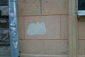 "Да - котикам, нет - наркотикам!": петербуржец закрашивает криминальную рекламу трафаретами мурлык