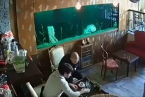 Внезапно лопнувший аквариум омрачил отдых посетителей кафе