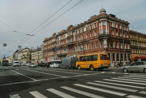 Селфи или жизнь. Аниматоры в костюмах зебры избивают туристов в центре города