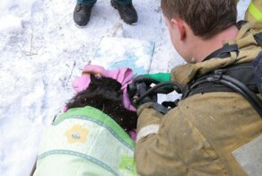 Смоленские пожарные спасли из горящей квартиры женщину и откачали ее кота