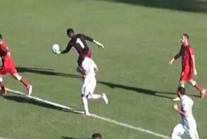 Собака спасла вратаря от позора,  отбив своим телом летящий в ворота мяч