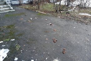 Кто хуже собачников