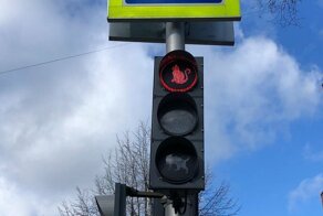 В Калининградской области установили светофор с котиками, но идея понравилась не всем