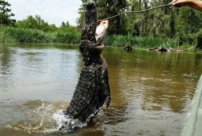 Фотоподборка за 14.03.2019