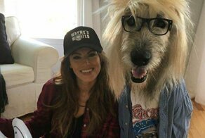 Люди делятся снимками своих ирландских волкодавов, и это безумие, насколько они большие