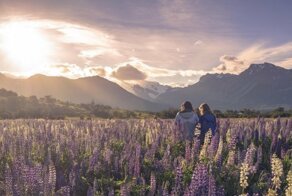 Фотоподборка за 15.03.2019