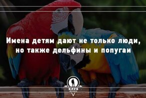 9 неожиданных фактов про имена и фамилии