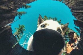 Когда понимаешь, что еще не все видел в этой жизни