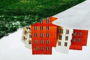 Американский невролог фотографирует лужи, словно в них скрывается вход в другое измерение