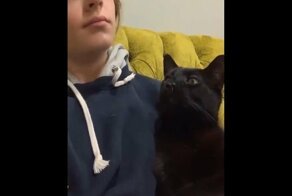  Будь здоров, котик! 