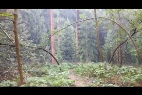 Заборчик для Гуливера