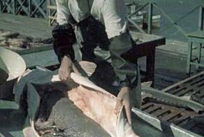 Время СССР! часть 2