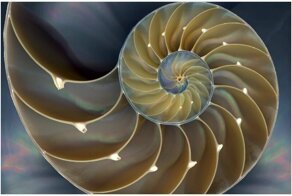 20 фото для  наслаждения истинных перфекционистов
