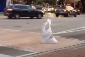 Пакет переходит дорогу в Милане