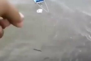 Рыбалка с помощью радиоуправляемого катера