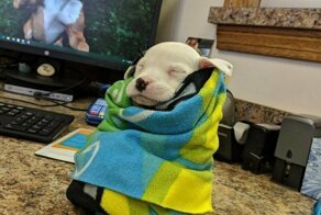 Для настроения