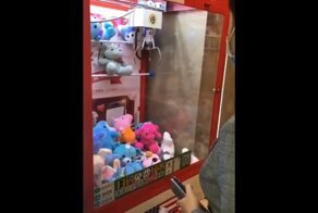 Плюшевый медведь отказался уходить из игрового автомата