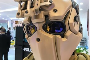 Арабский пустынный "Ратник"