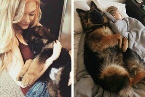 Скрины из социальных сетей