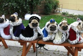 Для настроения