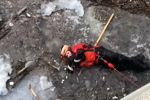 Сотрудник береговой охраны успел в последний момент спасти щенка