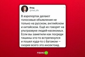 Аэропорт: лишь там могла произойти подобная дичь