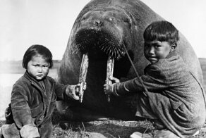 Забавное наблюдение о природе человеческого гнева