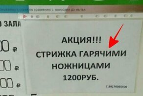 Поколение ЕГЭ: 20 постыдных ошибок, которые стали достоянием общественности