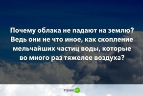10 вопросов, которые не дадут вашим мозгам "окостенеть"