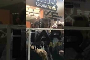 Пытались многие, но смог только один