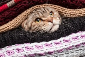 7 незаменимых советов, как убрать на хранение зимние вещи