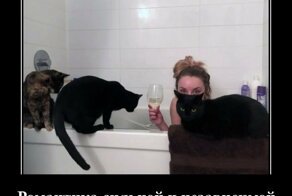 Свежая подборка демотиваторов, которые поднимут вам настроение