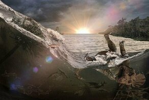 Ученые обнаружили кладбище Юрского периода