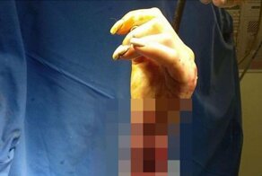 Неудачная попытка покормить маленького медведя с руки