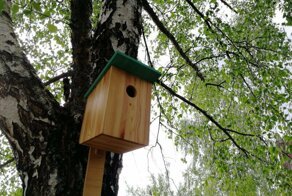 Скворечник без щелей и гвоздей