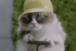 Забавные GIF