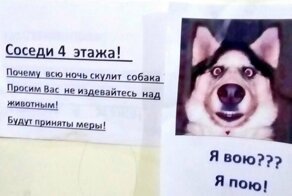 18 реальных объявлений от людей, которым жутко не повезло с соседями