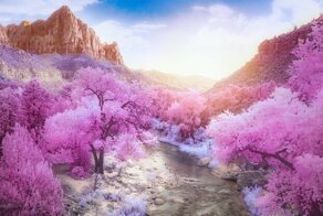 Конкурс инфракрасной фотографии представляет победителей