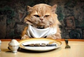 Этикет других стран, который удивит