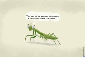 8 рефлексирующих животных, которые мечтают бросить всё и окунуться в мир человеческих проблем