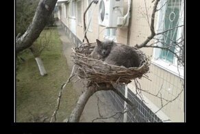 Свежая подборка демотиваторов, которые поднимут вам настроение