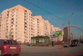 Женщина на кроссовере сбила пешехода на «зебре» в Петербурге